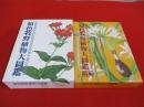 原色牧野植物大図鑑　正・続　2冊セット