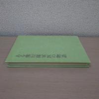 ある飛行隊軍医の物語