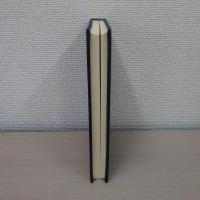 新潟県方言辞典　上越編