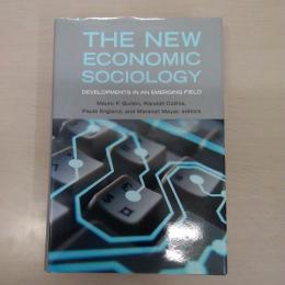 The New Economic Sociology: Developments in an Emerging Field