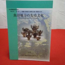 【新潟県】日本遺跡認定記念 「なんだ、コレは！」信濃川流域の火焔型土器と雪国の文化  魚沼地方の先史文化