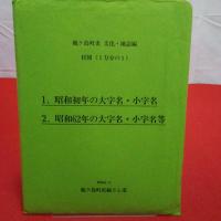 【埼玉県】鶴ケ島町史 文化・地誌編