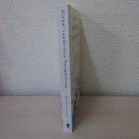 Global Leadership Perspectives: Insights and Analysis (English Edition)
