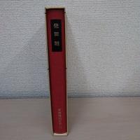 されどわれらが日々―・鳥の影 ＜新潮現代文学 71＞
