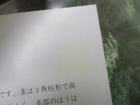 沖縄植物野外活用図鑑　全6巻揃い