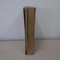 上海事変