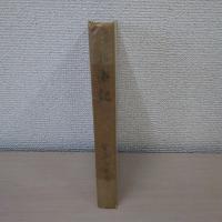 上海記