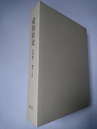 愛知県史 資料編5 考古5 鎌倉~江戸