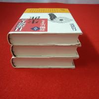 日蓮聖人の生涯 全3巻揃い
