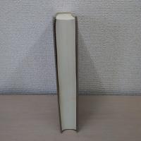 京都の部落史 2 (近現代)