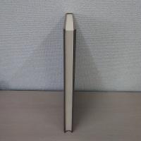 縄文のデザイン : 縄文土器影象