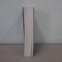 The Essential Frankfurt School Reader