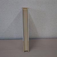 さらばコミューン : ある愛の記録
