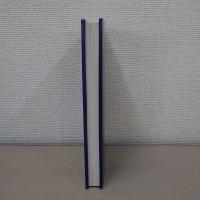 Ordinary Knowledge : An Introduction to Interpretative Sociology