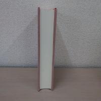 一休和尚全集 第1巻 : 狂雲集(上)