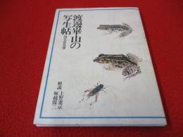 渡辺崋山の写生帖　翎毛虫魚冊