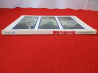 空から見た京都　航空写真地図2