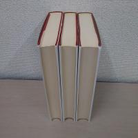 母子関係の理論 全3巻揃い 旧版