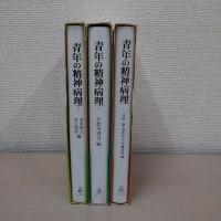 青年の精神病理 全3巻揃い