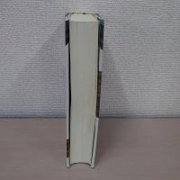 ルーマン/社会の理論の革命