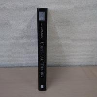 Critical Theory (Great Debates in Philosophy)