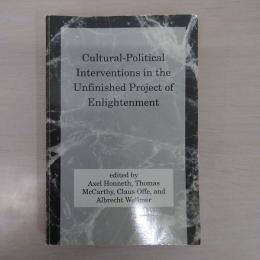 Cultural-Political Interventions in the Unfinished Project of Enlightenment (Studies in Contemporary German Social Thought)