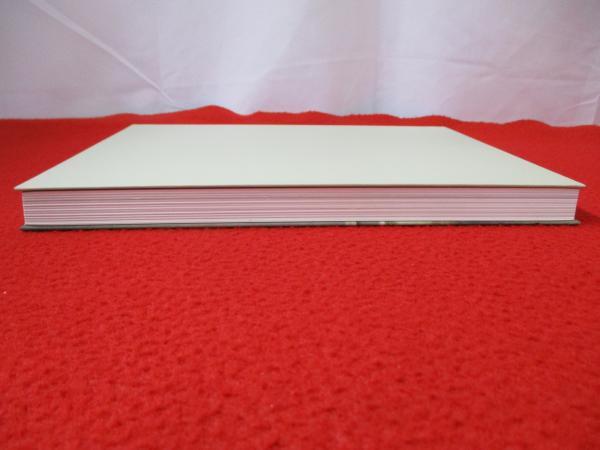 ハマスホイとデンマーク絵画 【図録】(東京都美術館, 山口県立美術館