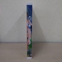 パリ ポンピドゥーセンター キュビスム展―美の革命: ピカソ、ブラックからドローネ、シャガールへ
