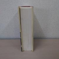 American Education: The Metropolitan Experience、 1876-1980