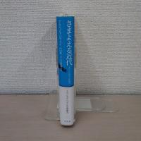 さまよえる近代 : グローバル化の文化研究