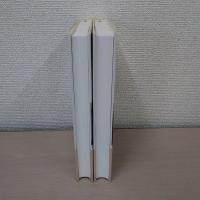 アーレント=ヤスパース往復書簡 : 1926-1969 1・2巻 2冊セット