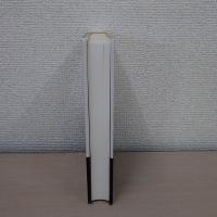 近代とは何か : その隠されたアジェンダ ＜叢書・ウニベルシタス 731＞