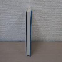 新=批評的エッセー : 構造からテクストへ 新装版