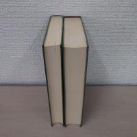 水利の開発と調整 : その地域的研究　上巻・下巻　2冊揃い