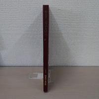空から見た　関東の洪水