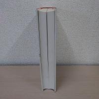 河道計画の技術史