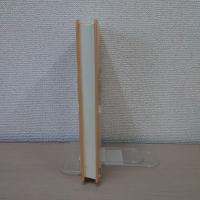 友愛のポリティックス 1