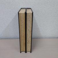 日本外史 上下巻揃い