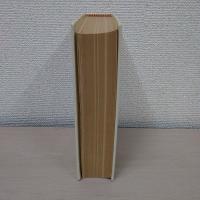 Droit constitutionnel et institutions politiques : Sixieme Edition