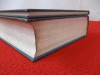 Mediae Latinitatis lexicon minus