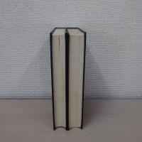和蘭風説書集成 上下巻揃い