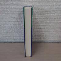 Die Erreichbarkeit Der Gesellschaft: Zur Konstruktion Und Imagination Gesellschaftlicher Einheit