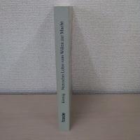Perspektivitat und Unbestimmtheit in Nietzsches Lehre vom Willen zur Macht: Eine vergleichende Studie zu Hegel、 Nietzsche und Luhmann