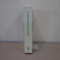 Soziologische Theorie 3. Gesellschaftstheorie