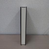 Sinnzusammenbrueche: Eine dekonstruktive Lektuere von Niklas Luhmanns Systemtheorie
