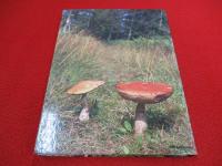 Fungi of Switzerland Vol.3  Boletes and agarics 1st part