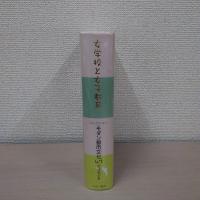 コレクション・モダン都市文化 第47巻