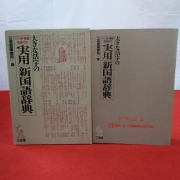 大きな活字のペン字・筆順・英語付き実用新国語辞典
