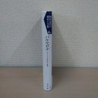 バルセロナ : カタルーニャ文化の再生と展開 ＜西洋近代の都市と芸術 6＞