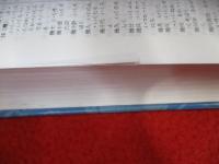 現代日漢大詞典